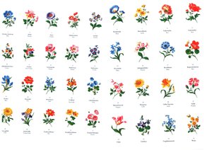 マイセンの製造からの花の絵のテンプレート